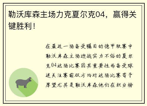勒沃库森主场力克夏尔克04，赢得关键胜利！