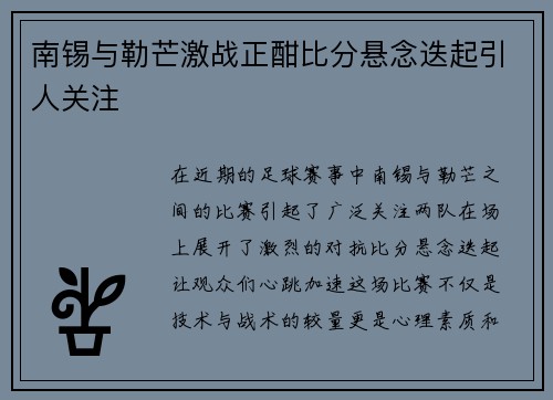 南锡与勒芒激战正酣比分悬念迭起引人关注