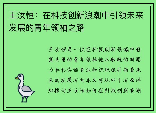 王汝恒：在科技创新浪潮中引领未来发展的青年领袖之路