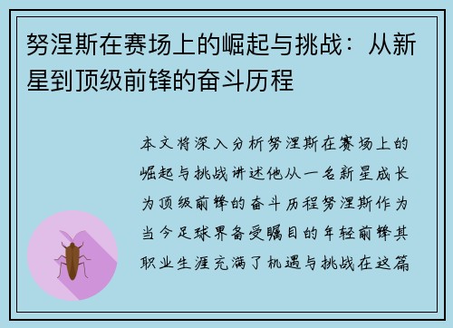 努涅斯在赛场上的崛起与挑战：从新星到顶级前锋的奋斗历程