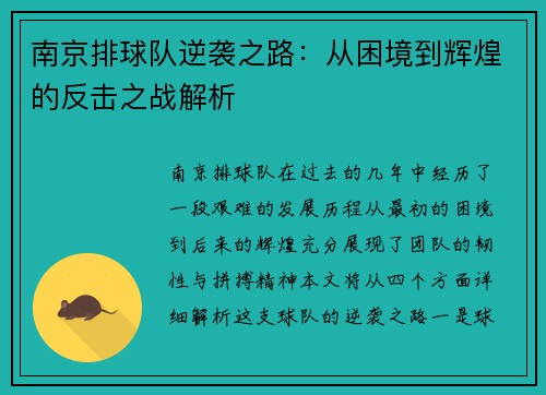 南京排球队逆袭之路：从困境到辉煌的反击之战解析